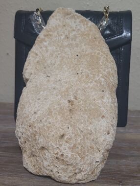 Large Fossilized Coral From TX Gulf Coast